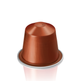 Envivo Lungo